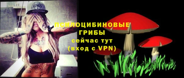 меф Арсеньев