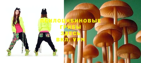 меф Арсеньев