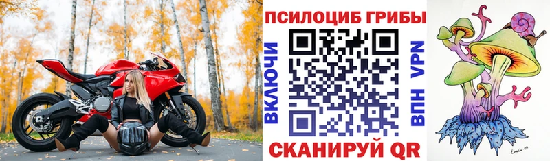 Галлюциногенные грибы Cubensis  Рошаль 